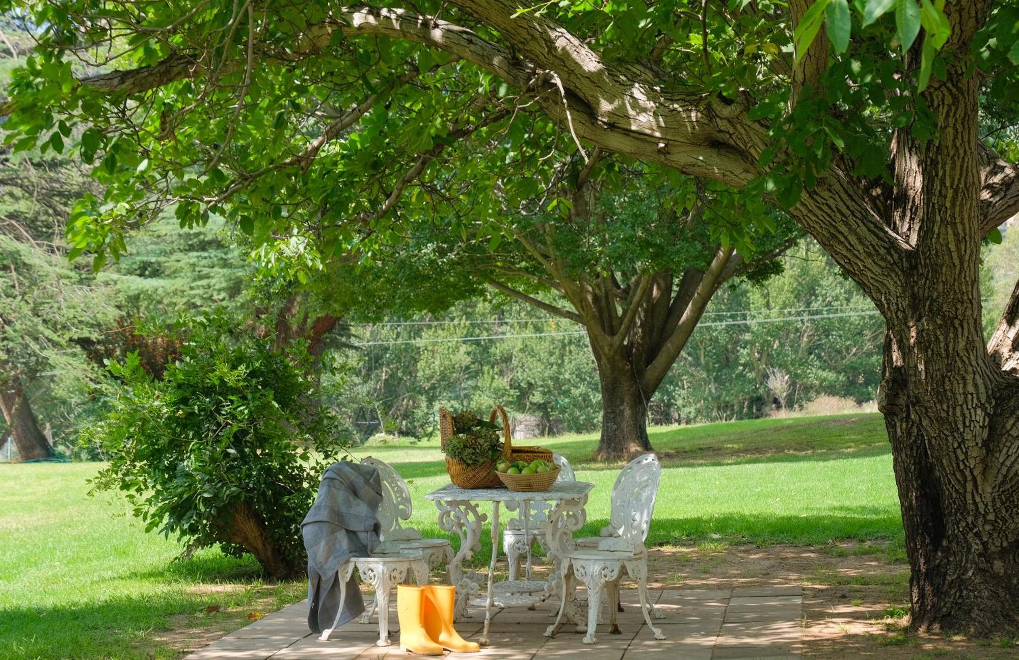 St Fort Farm Guesthouse Clarens Luaran gambar